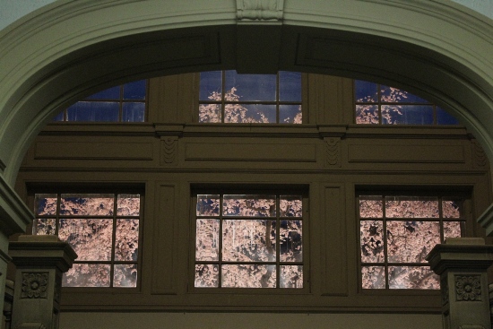 1939-12.4.10正面玄関窓全体と祇園枝垂れ桜.jpg