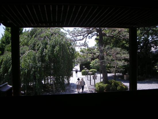 3885-13.5.24おかめ桜を本堂より見る.jpg