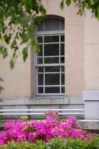 785-中庭、窓と躑躅.JPG