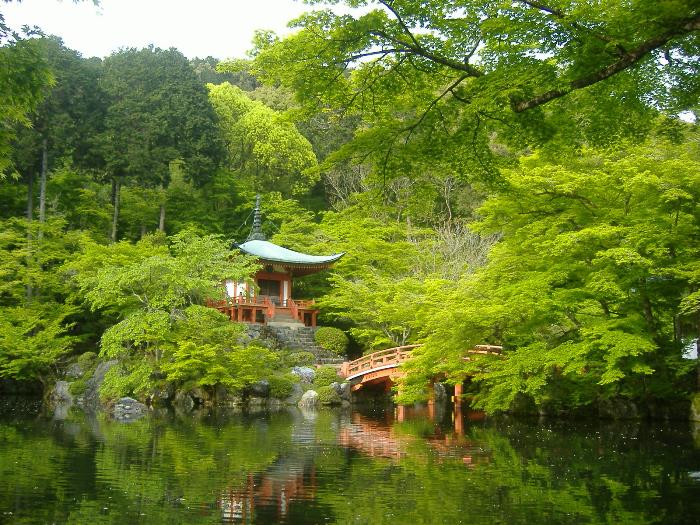16.4.24醍醐寺弁天堂新緑