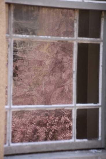 IMG_3768　窓に映る一重紅枝垂れ桜