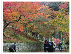 美化活動部会