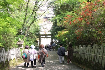 丹生官省符神社から急な階段を100段以上下ります