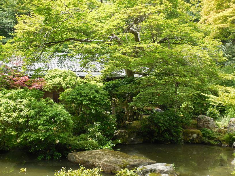 池泉回遊式庭園