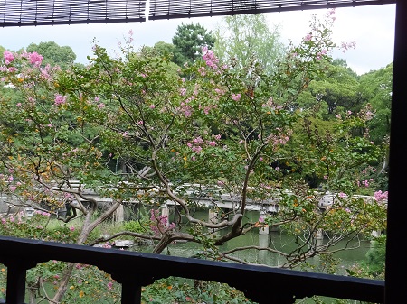拾翠邸より高倉橋を臨む(百日紅も待ってくれてました)