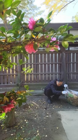 山茶花に見守られながら、黙々と清掃