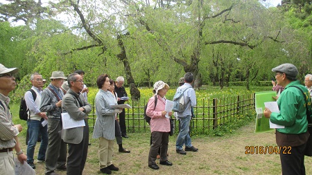 近衞邸にて（田村会員）