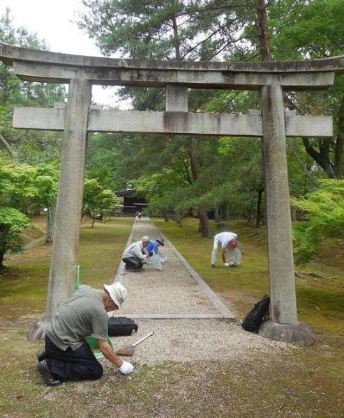 清掃風景①　九所明神参道