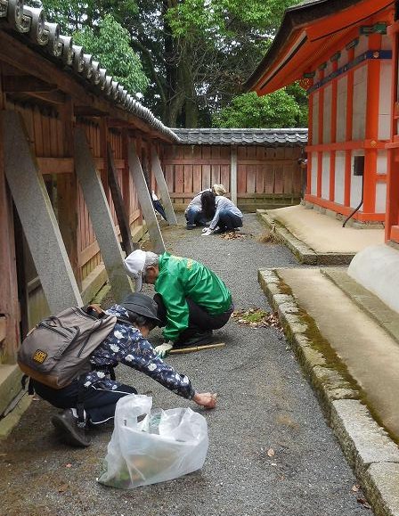 清掃風景④ 九所明神(重文)