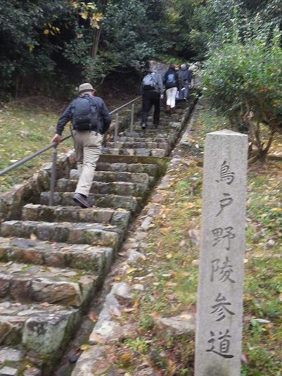 鳥戸野陵へ上る約７０段の石段を登る参加者