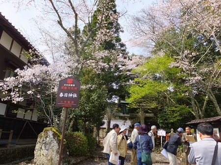 春日神社前にて 