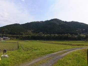 八木城の城山