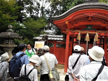 平井神社について説明する伊藤理事