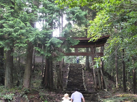 出野城跡山道