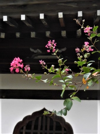 紫雲石が祀られているお堂の横に咲く百日紅