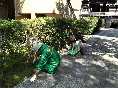 清掃風景⑥（大殿横の通路）