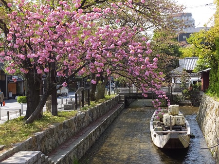 一の入船付近は桜が残っていました