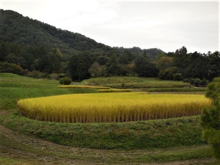 離宮の中とは思えない田園風景