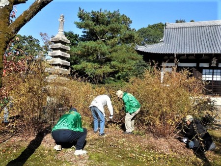 清掃風景①(刈取り前)