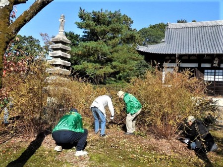 清掃風景①（刈取り前）