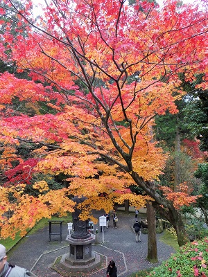 境内、残り紅葉