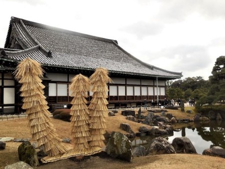 稲わらで化粧した蘇鉄(二の丸庭園の冬の風物詩)