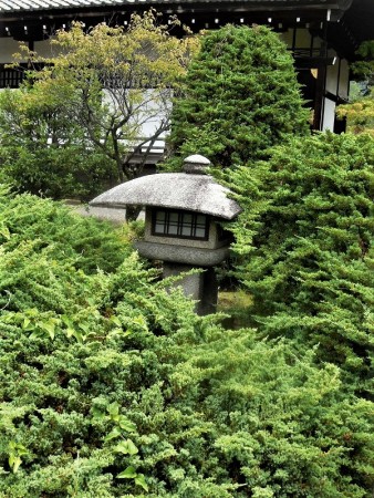 樹齢約750年のハイビャクシンに囲まれる水戸光圀公寄進の勧修寺型灯篭