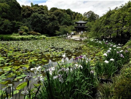 氷室の池