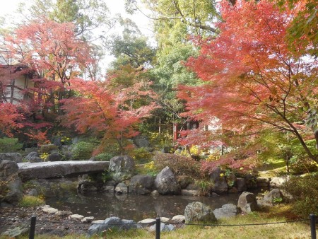 錦景苑の紅葉