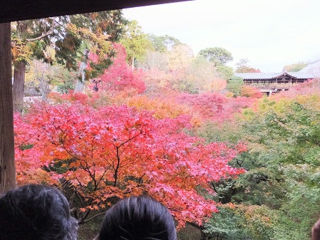 東福寺臥雲橋からの紅葉