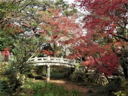 紅葉に映える清掃後の庭園