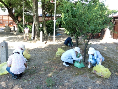 1106-吉祥院美化活動３.JPG