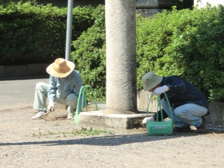 1107-吉祥院美化活動４.JPG