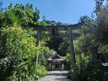 1181-大豊神社鳥居.JPG