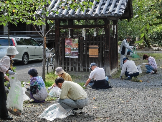 1260-立本寺皆さん清掃風景.JPG