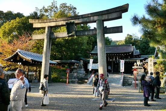 1427-１１.11.16離宮八幡宮鳥居.jpg