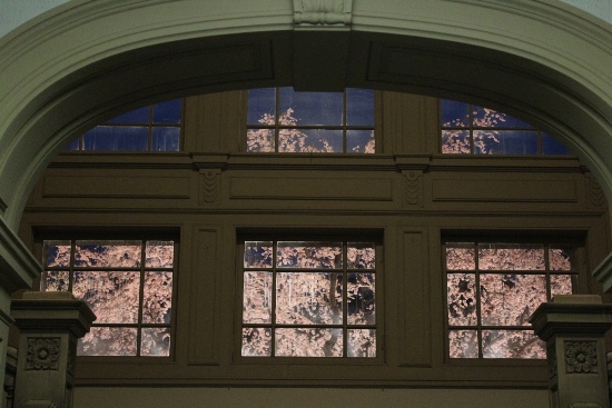 1939-12.4.10正面玄関窓全体と祇園枝垂れ桜.jpg