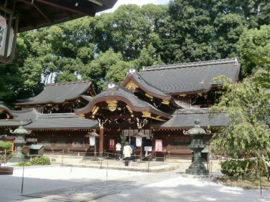 2732-12.10.10陽を浴びる今宮神社.jpg