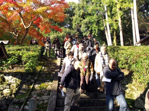 2808-12.11.15岩倉陵を離れ階段を下りるみなさん.jpg