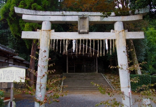 2812-12.11.15山住神社鳥居.jpg