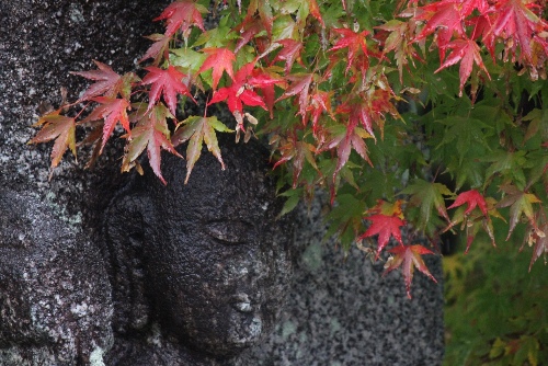 2849-12.11.17阿弥陀寺地蔵と紅葉.jpg