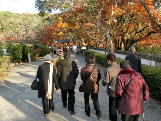 2965-12.12.1根来寺光明殿を去る.jpg