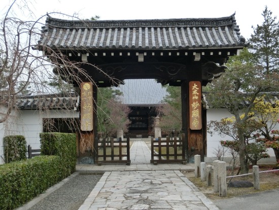 3498-13.3.20妙顕寺山門.jpg