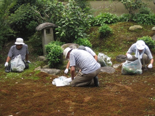 352-20100821美化立本寺清掃B.JPG