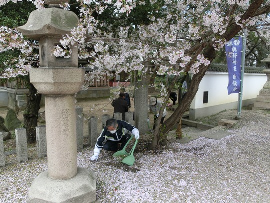 3670-13.4.3よど神社美化丹羽さん.jpg