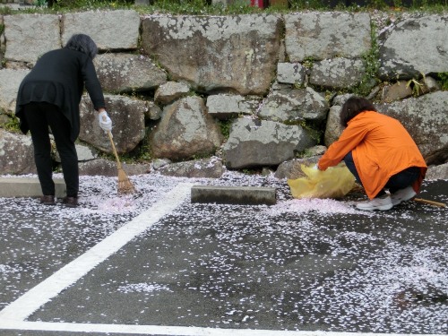 3687-13.4.3よど神社美化女性２人.jpg