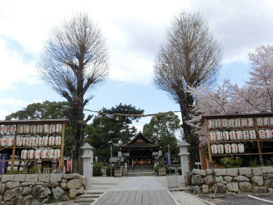 3690-13.4.3よど神社本線を参道から.jpg