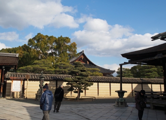 4972-P2210126-1-2.jpg
