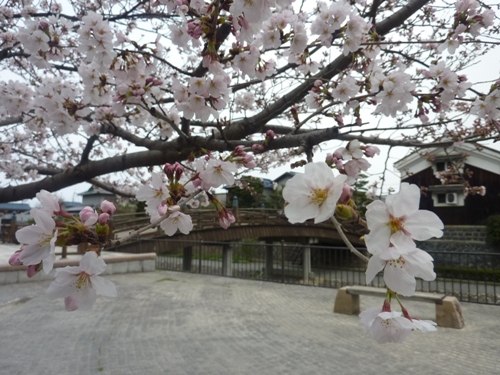 693-安居橋.JPG