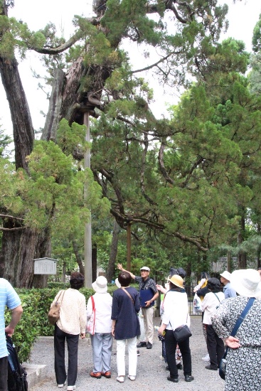 Ｈ27.6.7大徳寺イブキ前田村さんの班